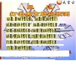 3d图谜第五版,3D图谜第五版挑战之旅