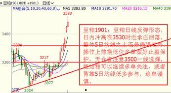 快三电子走势图,趋势分析及实战技巧
